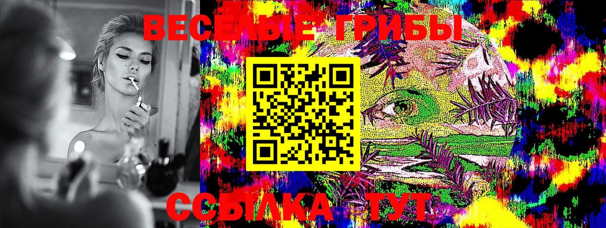 Псилоцибиновые грибы Psilocybe Зеленокумск